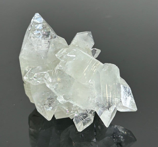 3.5 Suzi