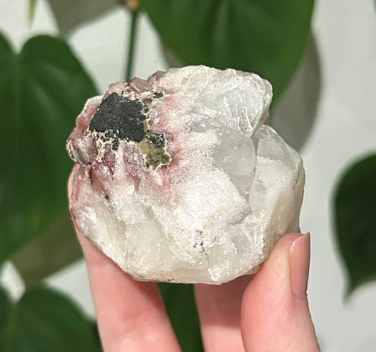 Sugar Blossom collection - (140g)