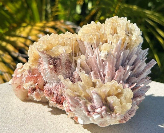 Pink Mordenite with Calcite and Stilbite - India (768g)