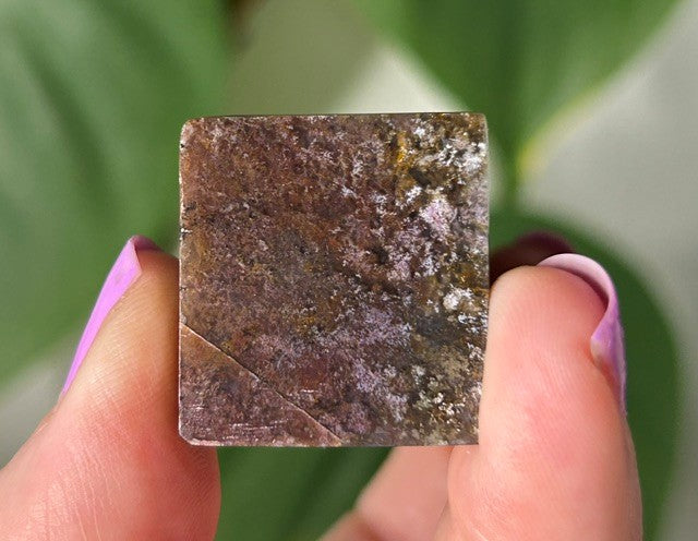 Orchid Moss with Amethyst - (101g) Ternate, Indonesia