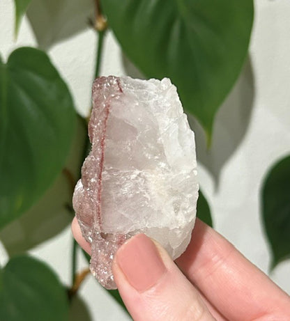 Sugar Blossom collection - (114g)