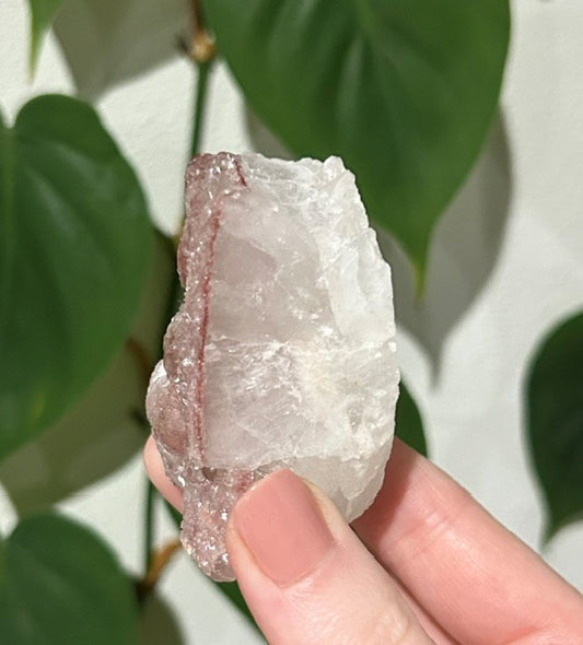 Sugar Blossom collection - (114g)