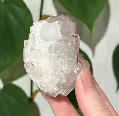 Sugar Blossom collection - (114g)