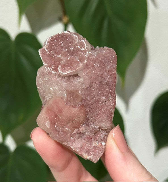 Sugar Blossom collection - (114g)