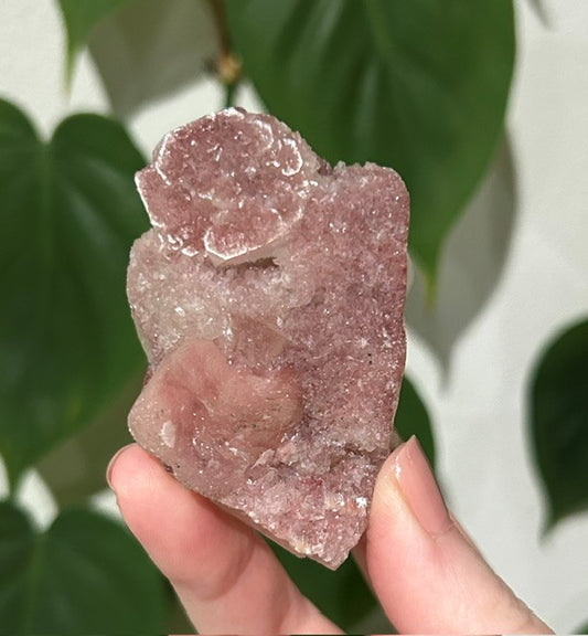 Sugar Blossom collection - (114g)