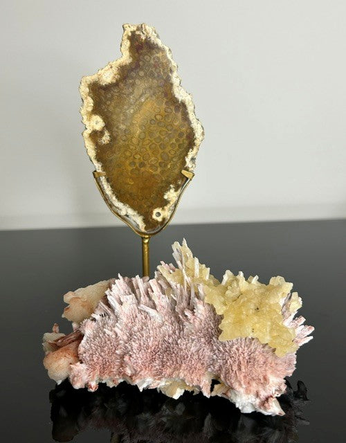 31.5 Pressed Blooms
