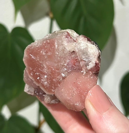 Sugar Blossom collection - (140g)