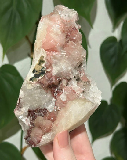 Sugar Blossom collection - (372g)