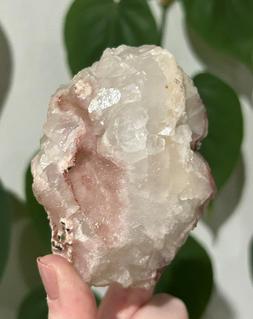 Sugar Blossom collection - (334g)