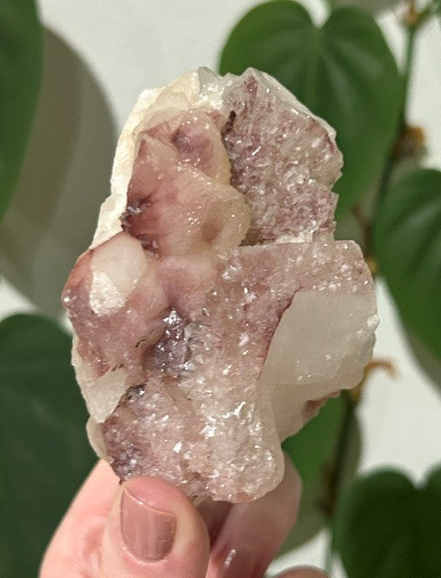 Sugar Blossom collection - (334g)