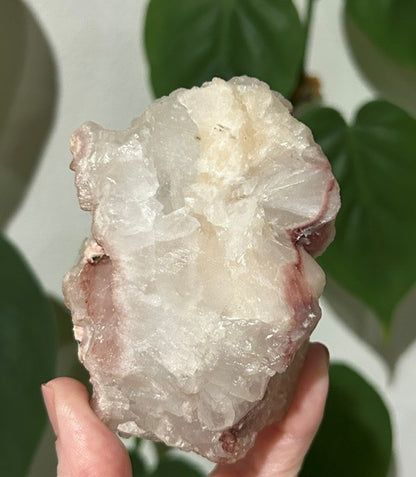 Sugar Blossom collection - (334g)