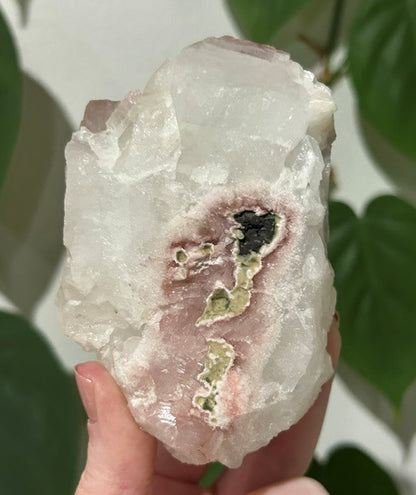 Sugar Blossom collection - (360g)