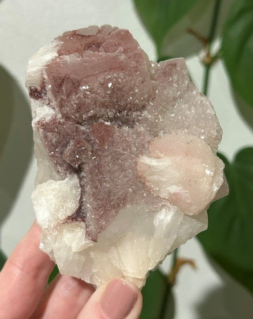 Sugar Blossom collection - (360g)