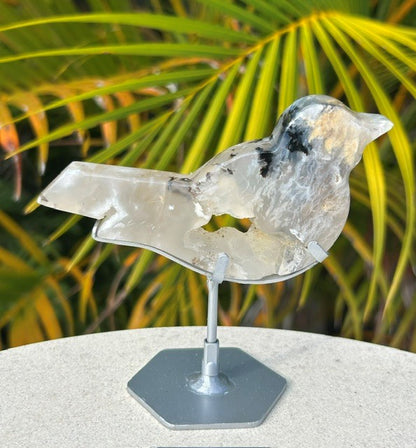 Tiger Dendritic bird with custom stand - (87g) Indonesia