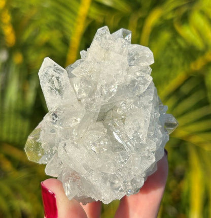 Diamond Apophyllite - (108g)