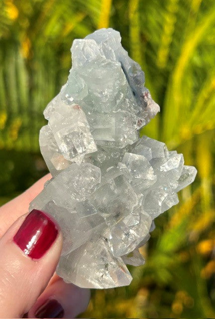 Diamond Apophyllite with blue Chalcedony matrix - (149g)
