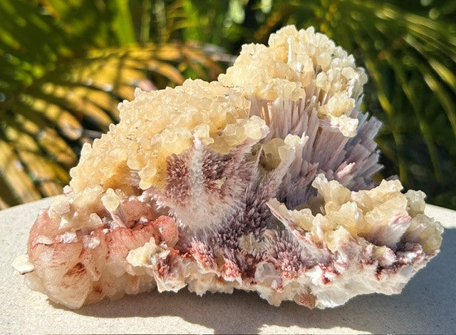 Pink Mordenite with Calcite and Stilbite - India (768g)