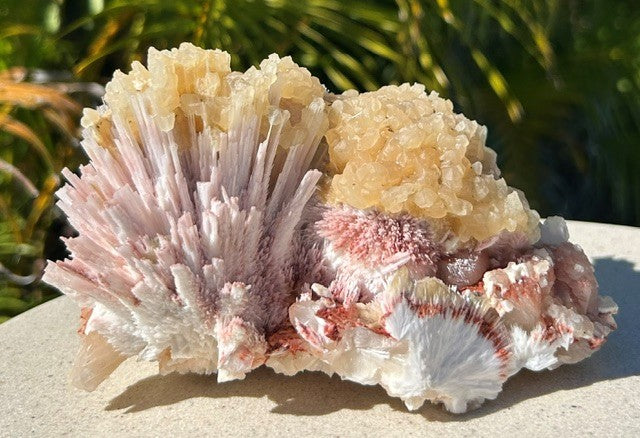 Pink Mordenite with Calcite and Stilbite - India (768g)