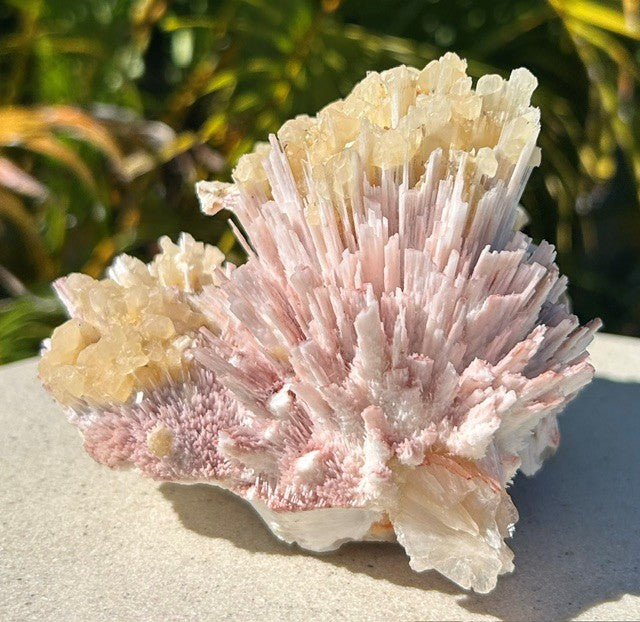 Pink Mordenite with Calcite and Stilbite - India (768g)