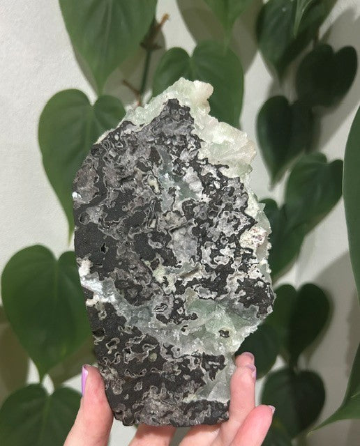 Green apophyllite with Mordenite - India (839g)