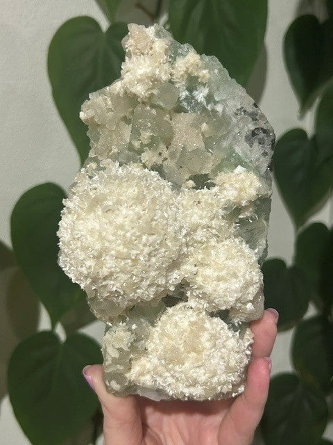 Green apophyllite with Mordenite - India (839g)