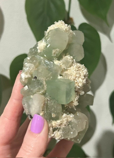Green apophyllite with Mordenite - India (460g)