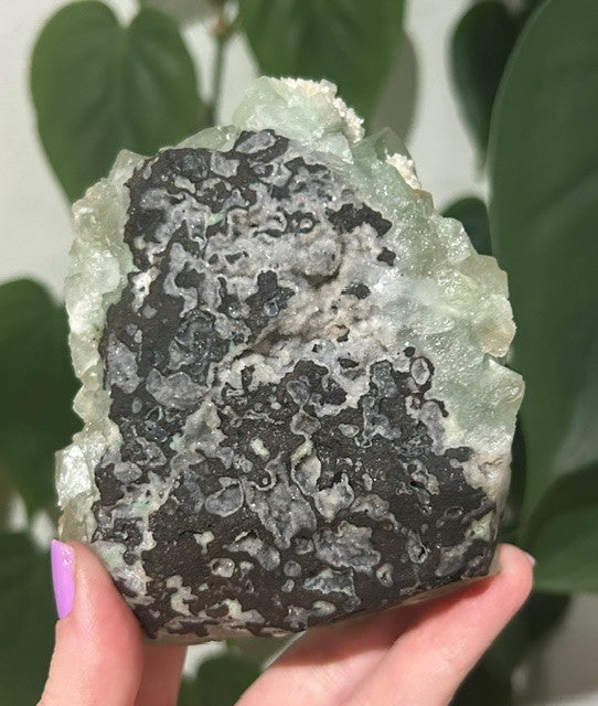 Green apophyllite with Mordenite - India (460g)