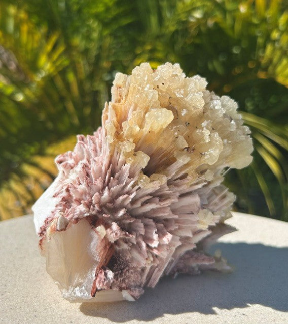 Pink Mordenite with Calcite and Stilbite - India (759g)