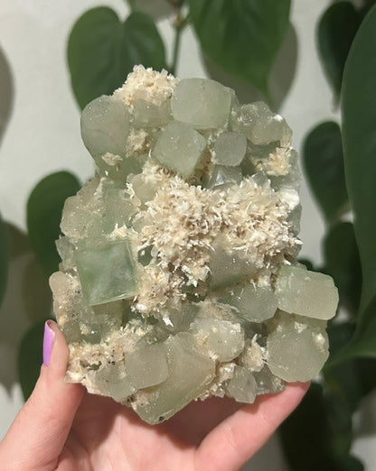 Green apophyllite with Mordenite - India (460g)
