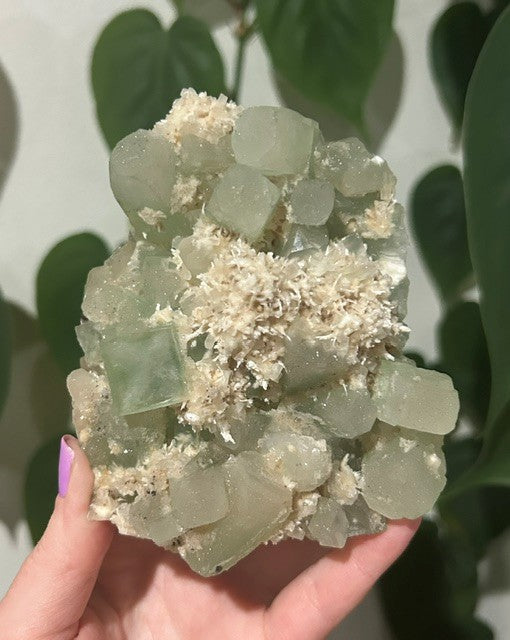 Green apophyllite with Mordenite - India (460g)