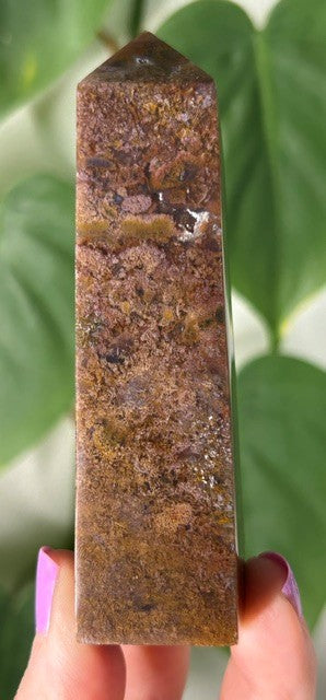 Orchid Moss - (145g) Ternate, Indonesia