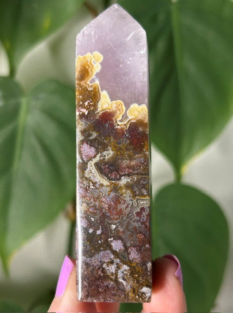 Orchid Moss with Amethyst - (101g) Ternate, Indonesia