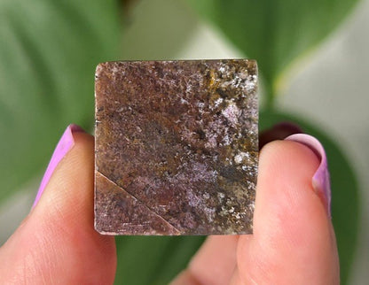 Orchid Moss with Amethyst - (101g) Ternate, Indonesia