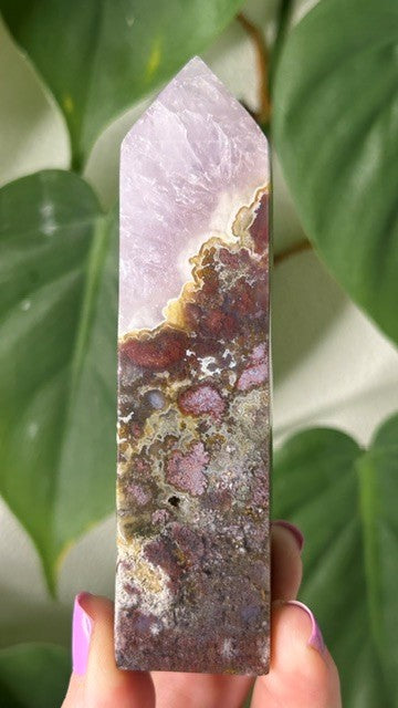 Orchid Moss with Amethyst - (139g) Ternate, Indonesia