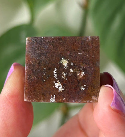 Orchid Moss with Amethyst - (139g) Ternate, Indonesia