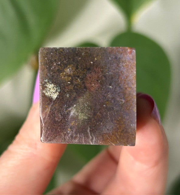 Orchid Moss with Amethyst - (155g) Ternate, Indonesia
