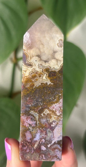 Orchid Moss - (121g) Ternate, Indonesia