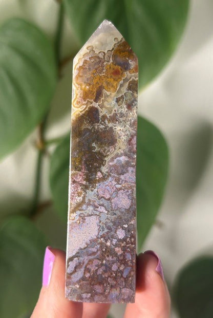 Orchid Moss - (121g) Ternate, Indonesia