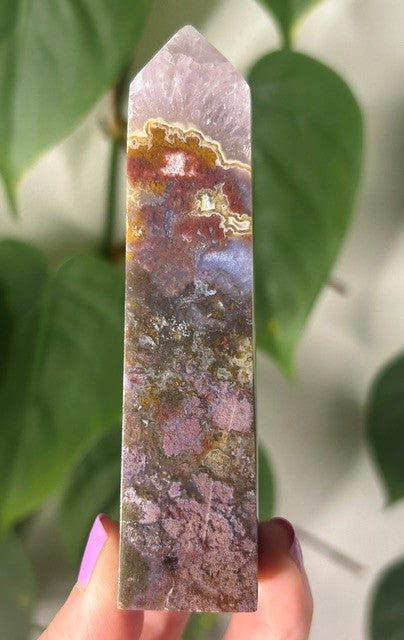 Orchid Moss with Amethyst - (168g) Ternate, Indonesia