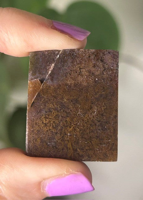 Orchid Moss with Amethyst - (168g) Ternate, Indonesia