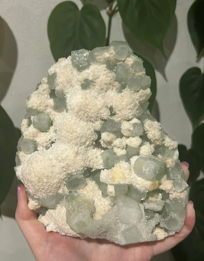 Green apophyllite with Mordenite - India (989g)