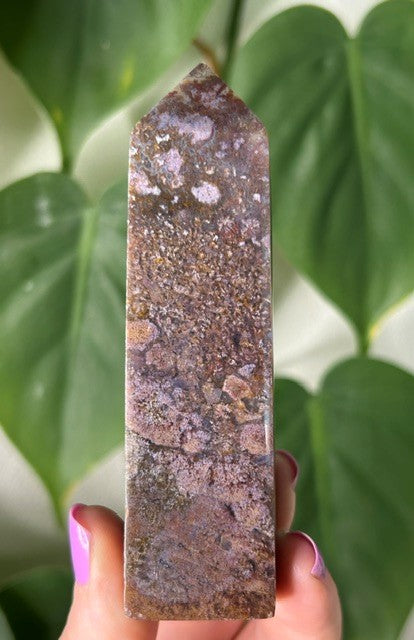 Orchid Moss - (129g) Ternate, Indonesia