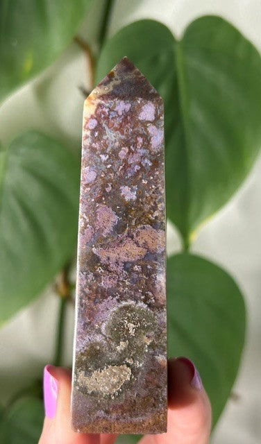 Orchid Moss - (129g) Ternate, Indonesia
