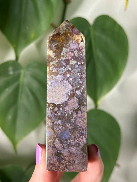 Orchid Moss - (129g) Ternate, Indonesia