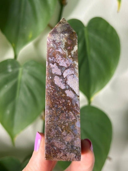 Orchid Moss - (129g) Ternate, Indonesia